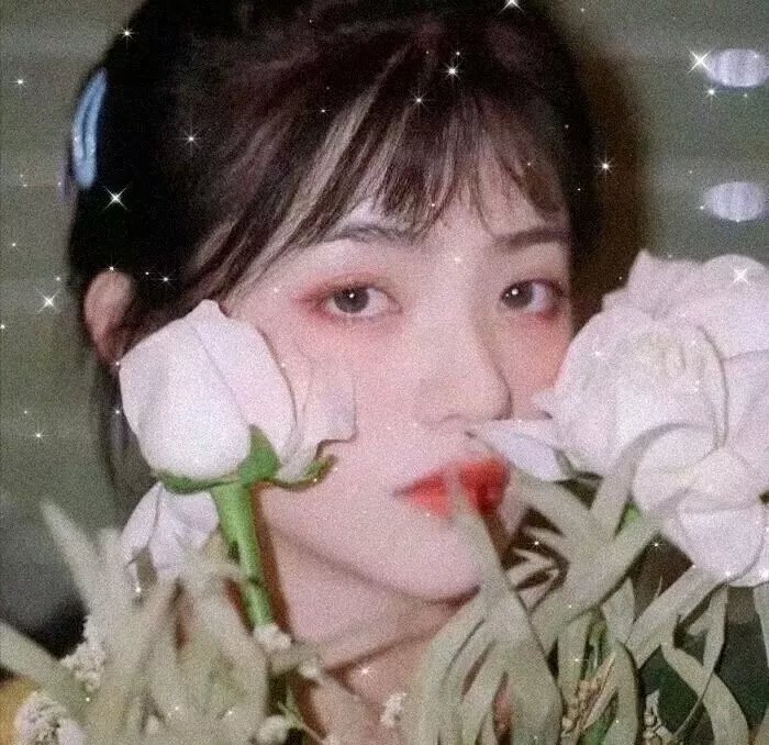 我的海獭先生